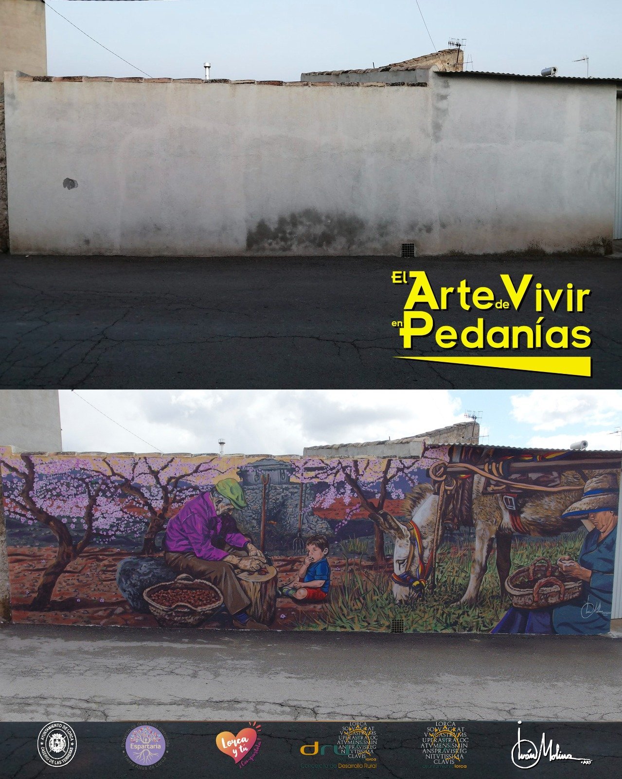 WhatsApp Image 2025-10-23 at 10.24.42