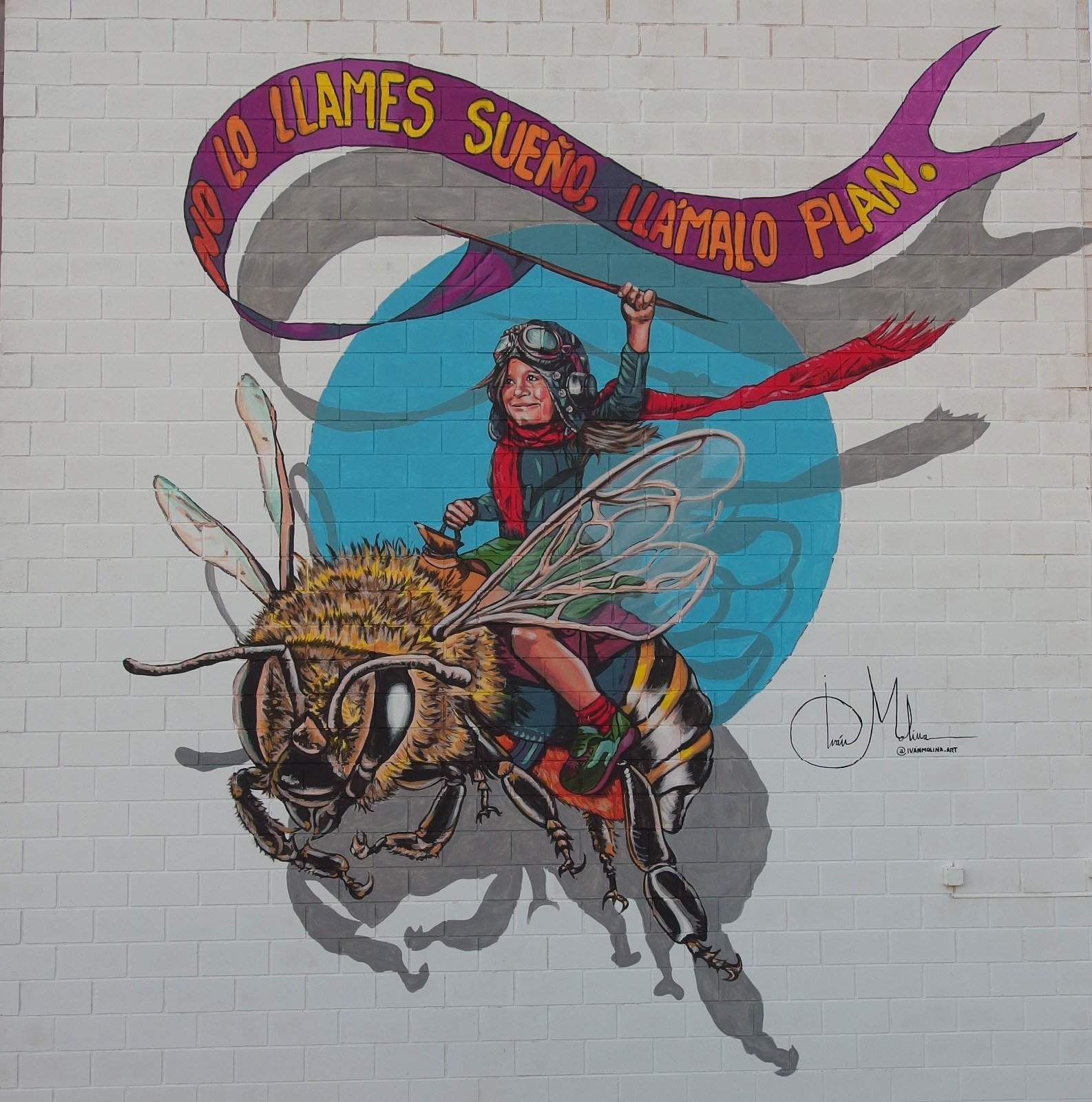 WhatsApp Image 2025-10-23 at 10.25.00